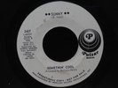Somethin' Cool-Sunny/Tea For Three-Pulsar 2407-JAZZ BOSSA NOVA WLP RARE