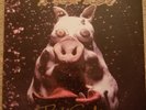 Primus - Pork Soda - 2009 Vinyl LP