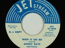 Northern Soul R&B 45 - Sonny Raye - Whip It On Me - Jetstream - mp3