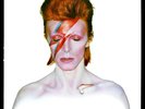 David Bowie  COMPLETE ALL STUDIO ALBUMS + LIVE & RARITIES. SEE LIST. WORLDWIDE