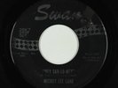 Northern Soul 45 - Mickey Lee Lane - Hey Sah-Lo-Ney - Swan - mp3