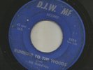ROCKABILLY SURF INSTRO bw GARAGE- SHANTALS - RUNNING TO  -HEAR -1967 D.J.W. MF