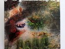 PINK FLOYD - A SAUCERFUL OF SECRETS - 1st 1968 STEREO PRESSING UK LP - PSYCH
