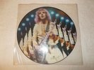 Vinyl LP 12 inch Record Album Peter Frampton Comes Alive Picture Disc Coloured