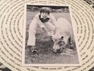 John Lennon “Imagine” 1971 Original Vinyl -Full-Sized Poster & Pig Card  BEATLES