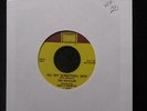 The Miracles - I'll Try Something New 7