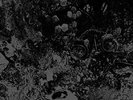 PRIMITIVE MAN / UNEARTHLY T...-SPLIT (Importación USA) VINYL LP NUEVO