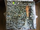 Siouxsie and the Banshees:juju