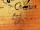 Counting Crows - August And Everything After Vinyl Lp