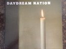 Sonic Youth Daydream Nation 4xLP Box Set VINYL NM