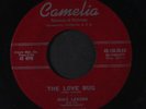 MIKE LARSEN: The Love Bug / No Use To Cry 45 (moody and strange slow-paced Rock