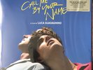 Call Me By Your Name OST Soundtrack Peach Vinyl 2 x LP Sufjan Stevens