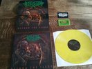 SKELETAL REMAINS -BEYOND THE FLESH Yellow LP Death Thrash Metal Deicide Hammer