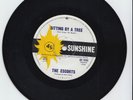 THE ESCORTS - Sitting By A Tree / On A Day Like Today