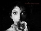 Kate Bush The Sensual World 180g Vinyl Record LP Numbered Audio Fidelity Label