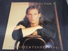 Vinyl Record LP Album MICHAEL BOLTON TIME LOVE & TENDERNESS (9)