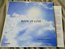 Steve Quarella - Book of Love LP w/insert private press xian folk (RPC)