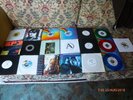 STEVE EARLE 19 x 7