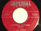 RARE The Jewels Natural Natural Ditty Please Return 7” 45 Imperial R&B Doo Wop