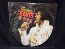 Pictures Of Elvis Elvis Presley picture disc LP vinyl albumI in clear PVC sleeve