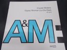 Vinyl Record 12” Single CRYSTAL WATERS GYPSY WOMAN (32)