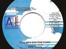 Rare Groove Disco SOLAR SOURCE - Can You Dig The Funk 45 AVI Records NM 7