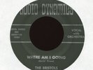THE BRISTOLS Where Am I Going A Girl Like Her Audio Dynamic Garage Soul 45 Hear