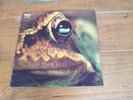 Toad by Toad vinyl LP record - collector's item