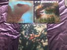 Pink Floyd LPs - Meddle, Obscured By Clouds, A Saucerful Of Secrets