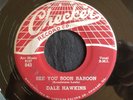 Dale Hawkins, Checker 843, See you Soon baboon & Four Letter Word, GREAT rockers