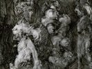 LANEGAN MARK & GARWOOD DUKE WITH ANIMALS VINILE LP 180 GRAMMI NUOVO