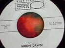 THE GAMBLERS-MOON DAWG/LSD-25 45 VINTAGE SURF ROCK GARAGE HOTROD INSTRUMENTAL NM
