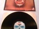 FLAVOR - IN GOOD TASTE LP 'FACTORY SAMPLE' EX  UK 1ST PRESS MOTOWN STML 12066