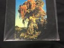 RARE - SEALED - We All Together - We All Together (LP, Album, RE)  Label:Lazarus