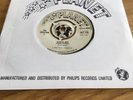 The Creation Painter Man 7” Vinyl