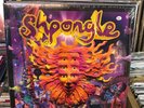 SHPONGLE Museum of Consciousness  Vinyl LP record