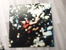 LP- Pink Floyd / Obscured By Clouds (rare Kanada Pressung)