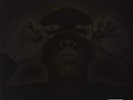 The Black Album by Jay-Z (Vinyl, Nov-2003) *NEW* *FREE Shipping*