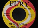 LITTLE JUNIOR LEWIS: And That's All I Need / Come On Back Where You Belong 45
