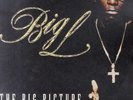 Big L - The Big Picture (1974 - 1999) '00 2xLP US ORG  DJ Premier Lord Finesse