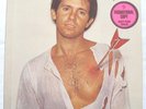 PETER IVERS -TERMINAL LOVE- ORIGINAL 1974 WARNER LP PROMO 1ST PRESS EX/EX RARE
