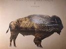HEARTLESS BASTARDS - Arrow - Vinyl (gatefold 2xLP + free MP3 download code)