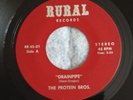 THE PROTEIN BROS.(BROTHERS)-DRAINPIPE/CHOLO RARE GARAGE FUZZ FUNK RR 45-01 NMINT
