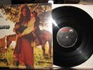 FEAR ITSELF SELF TITLED 1968 BLUES PSYCH US DOT FIRST PRESSING  VG+ VINYL