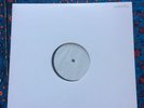 White Label Animal Collective Post Merryweather Pavilion Vinyl 12”