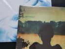 2 x DoLP Porcupine Tree Steven Wilson Deadwing + In Absentia Limited CLEAR Vinyl