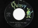 Garage Fuzz 45 - The Male - You're Playing With Fire - Quinvy - mp3
