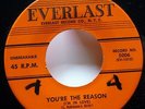 CHARTS 45 I've Been Wondering / You're the reason EVERLAST doowop VG++ c3160