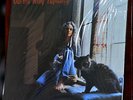 AUDIOPHILE CLASSIC RECORDS 1st USA 180g Carole KING 