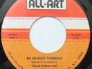 DAVID CEDENO & HIS ORCHESTRA MI NUEVO TUMBAO / NOCHE OSCURA 45 HEAR
